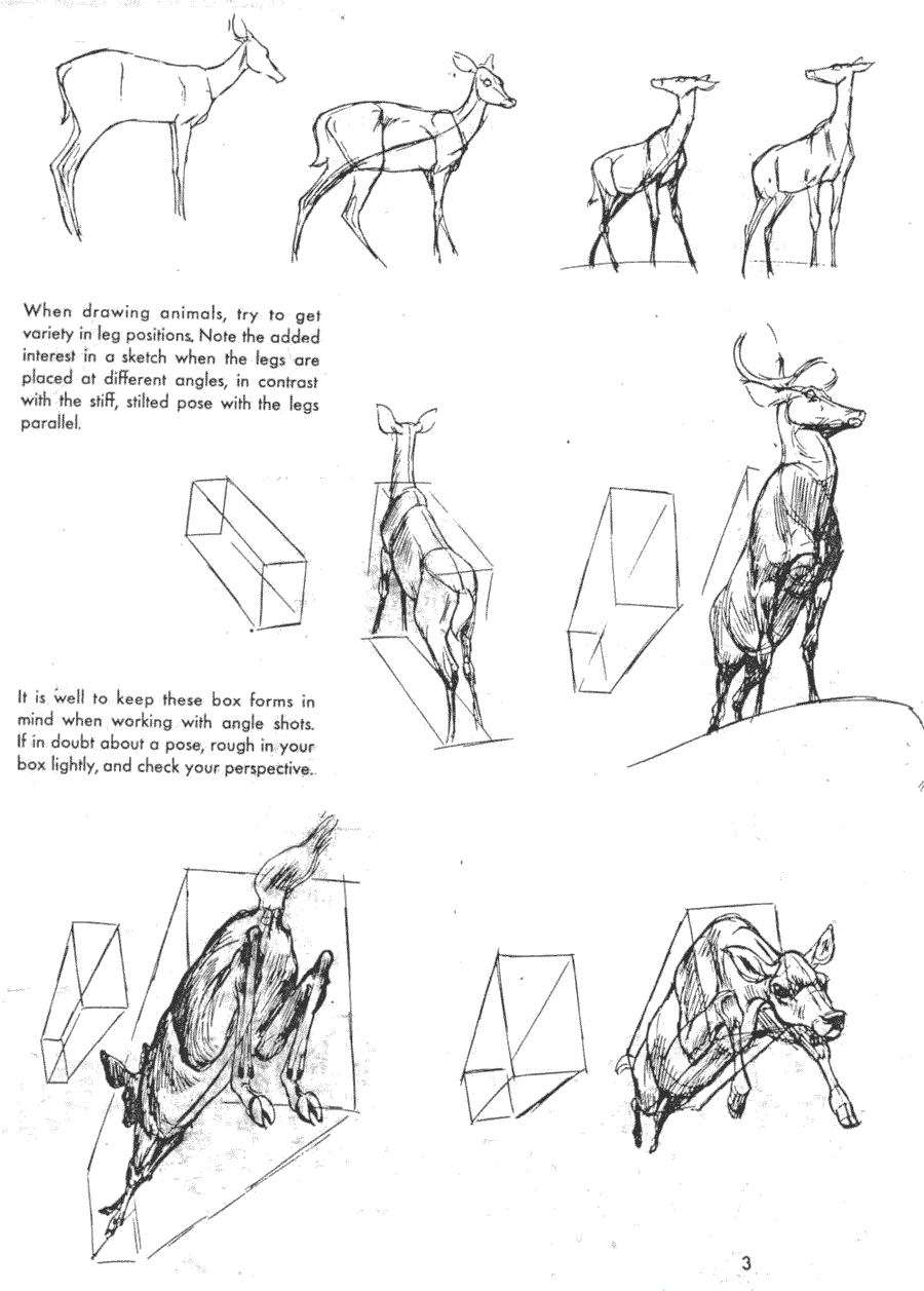   .(The art of animal drawing) -   (Ken Hultgren) ></a>
<script language=JavaScript> 
  var txt = 