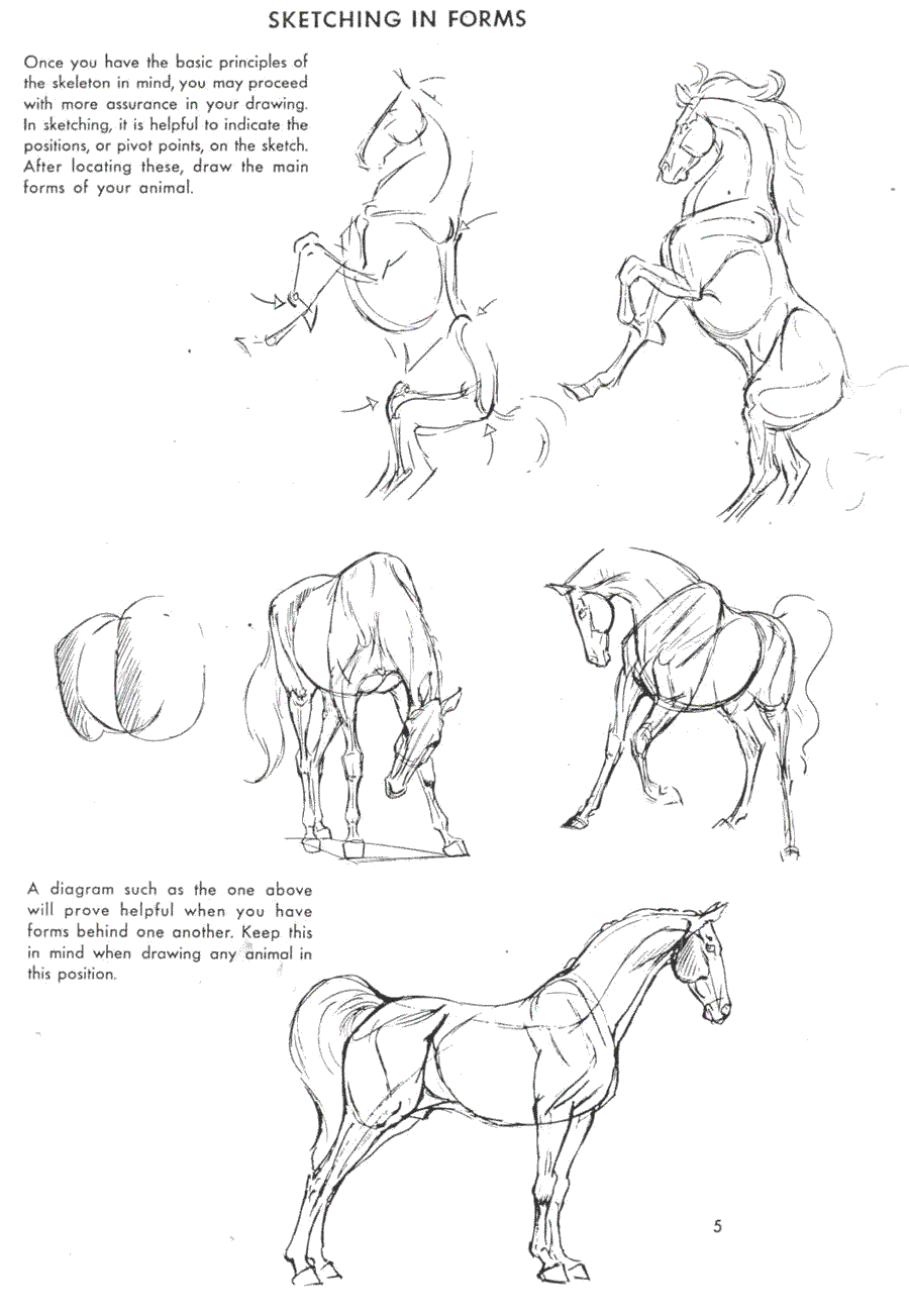   .(The art of animal drawing) -   (Ken Hultgren) ></a>
<script language=JavaScript> 
  var txt = 