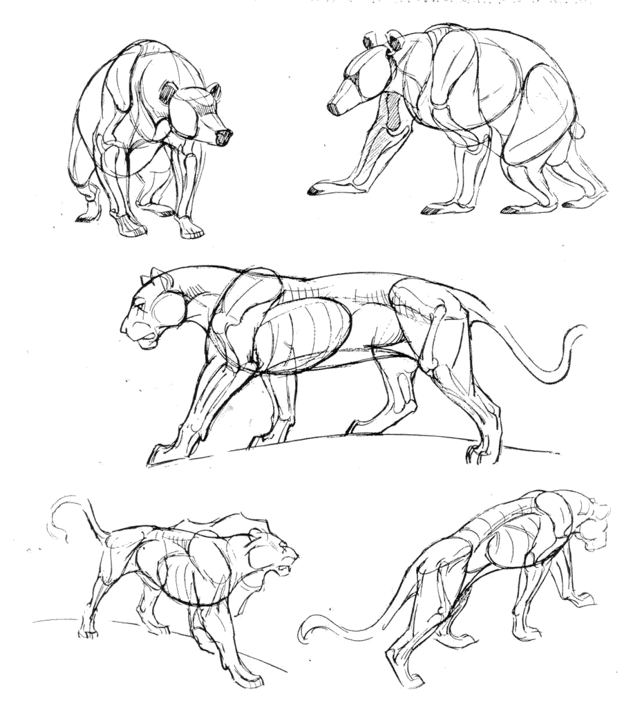   .(The art of animal drawing) -   (Ken Hultgren) ></a>
<script language=JavaScript> 
  var txt = 