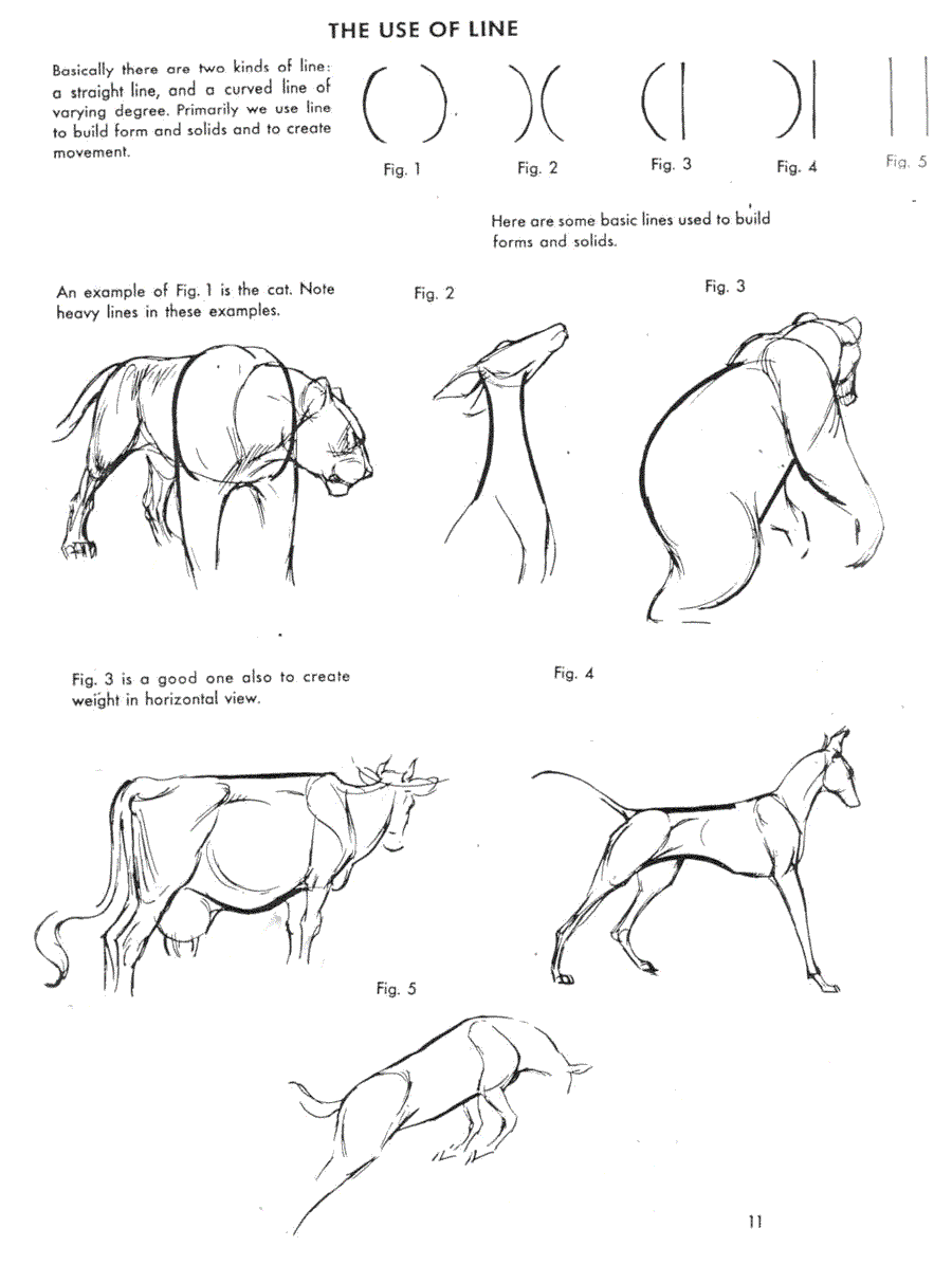   .(The art of animal drawing) -   (Ken Hultgren) ></a>
<script language=JavaScript> 
  var txt = 