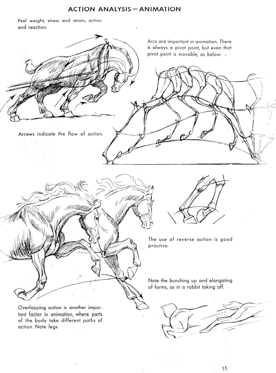 ��������� �������� ��������.(The art of animal drawing) - ��� �������� (Ken Hultgren) ></a>
<script language=JavaScript> 
  var txt = 