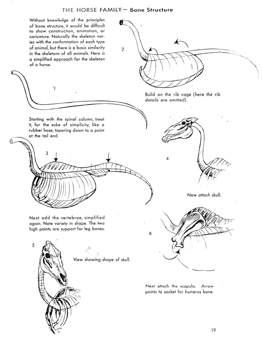   .(The art of animal drawing) -   (Ken Hultgren) ></a>
<script language=JavaScript> 
  var txt = 