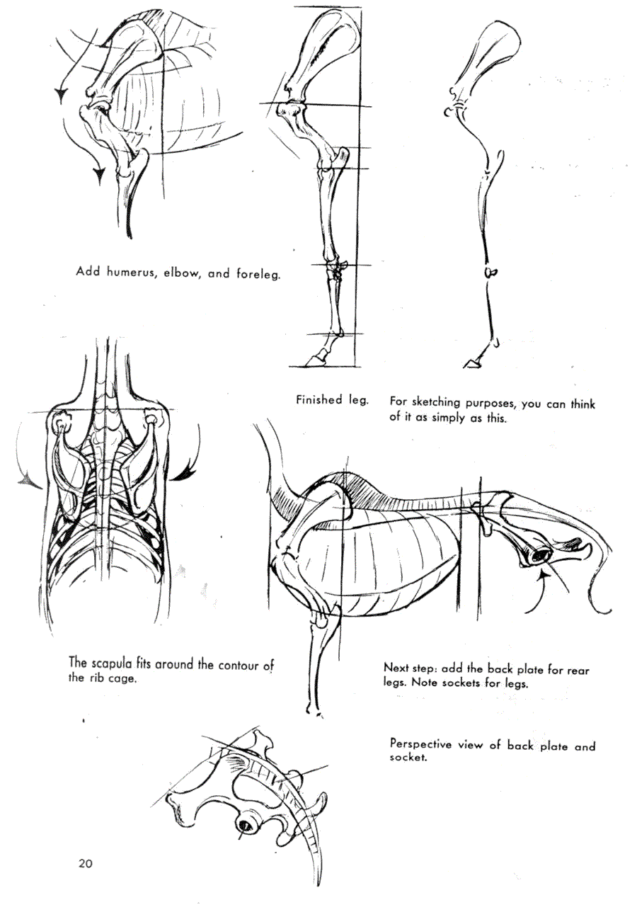   .(The art of animal drawing) -   (Ken Hultgren) ></a>
<script language=JavaScript> 
  var txt = 