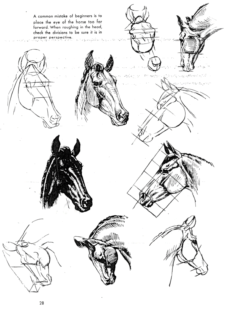   .(The art of animal drawing) -   (Ken Hultgren) ></a>
<script language=JavaScript> 
  var txt = 