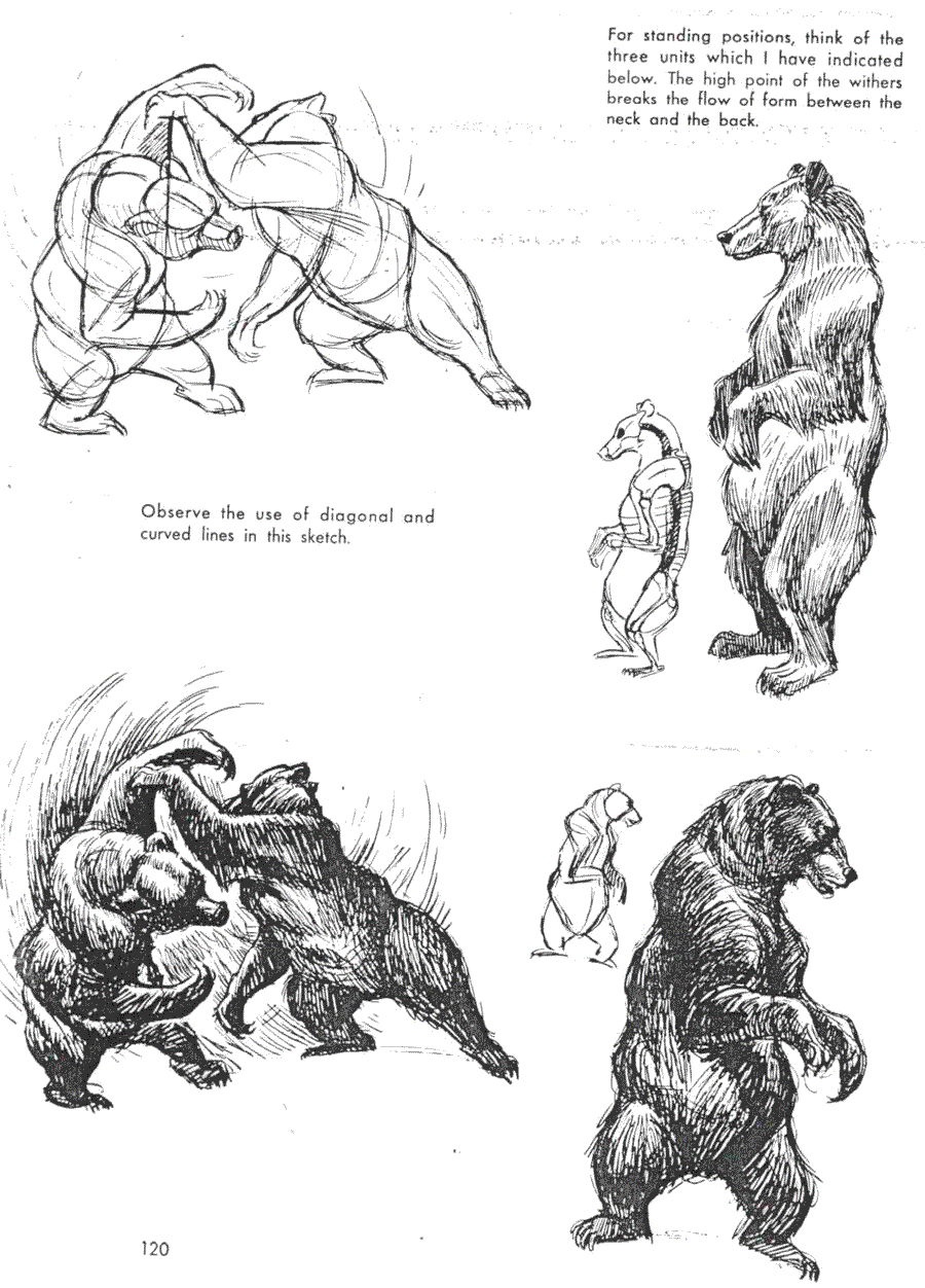 ��������� �������� ��������.(The art of animal drawing) - ��� �������� (Ken Hultgren) ></a>
<script language=JavaScript> 
  var txt = 