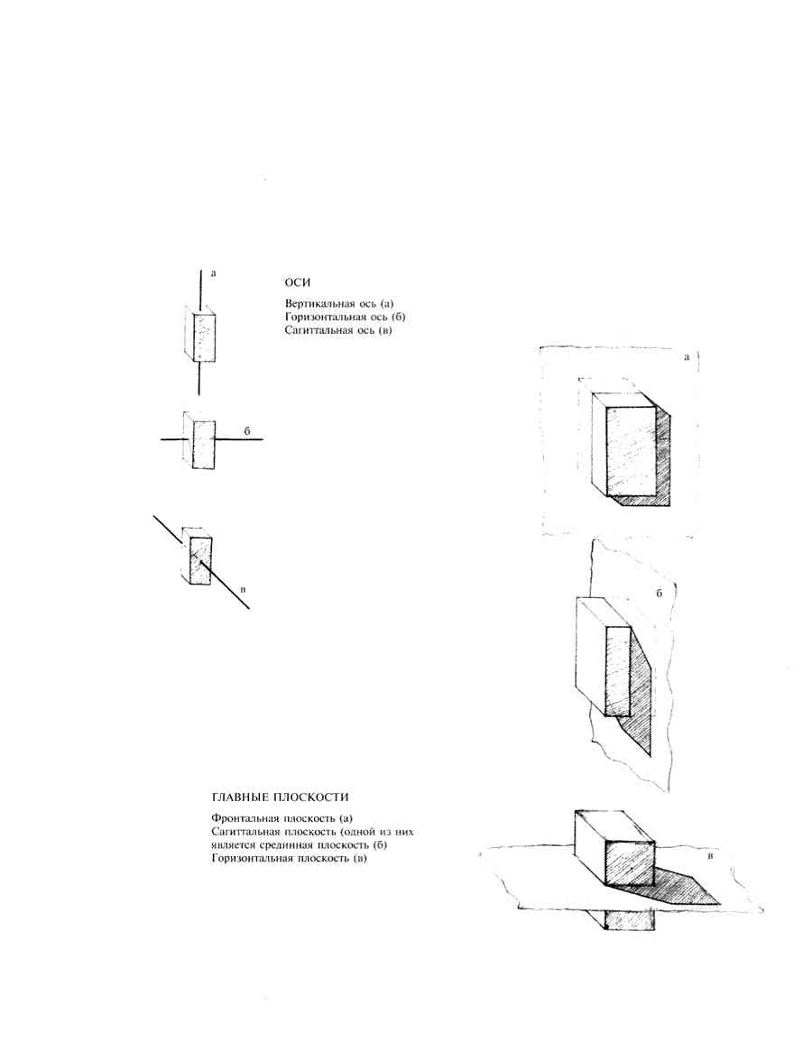    - ͨ  ></a>
<script language=JavaScript> 
  var txt = 