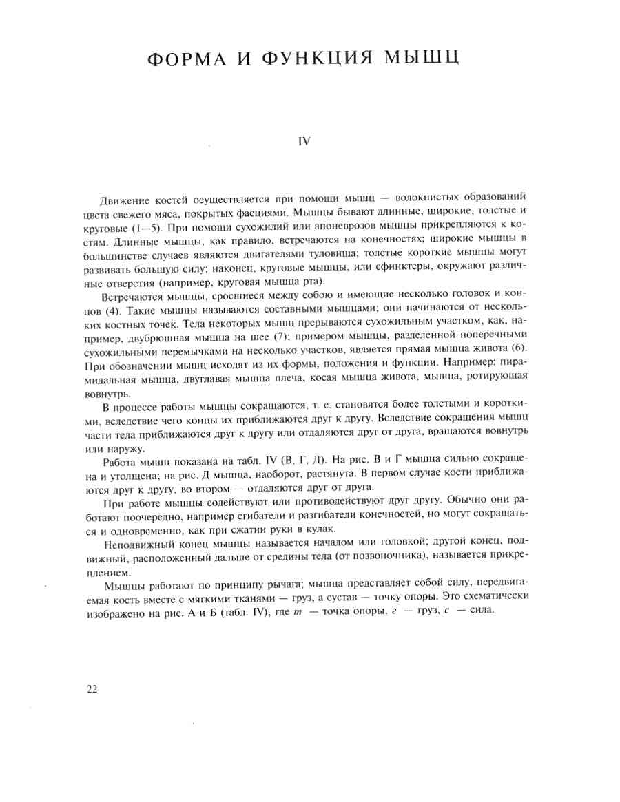    - ͨ  ></a>
<script language=JavaScript> 
  var txt = 