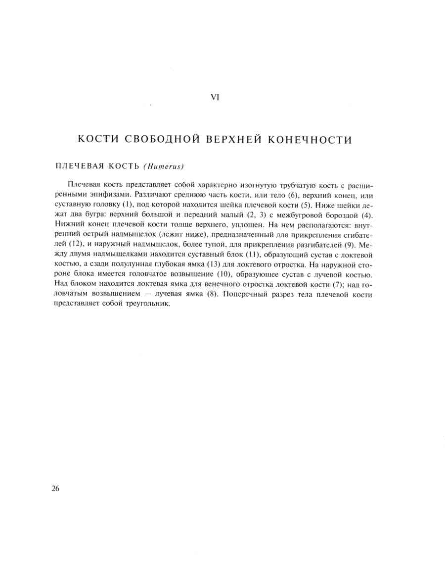    - ͨ  ></a>
<script language=JavaScript> 
  var txt = 