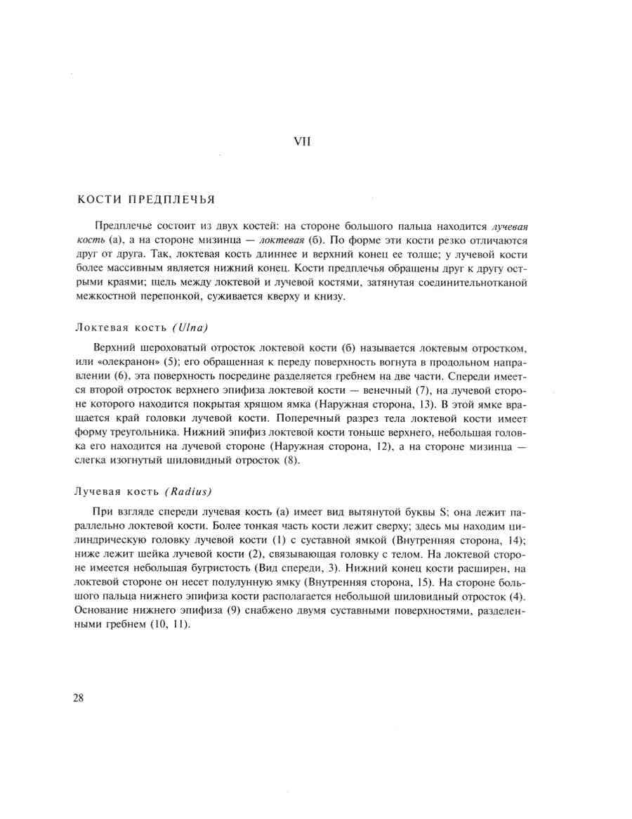    - ͨ  ></a>
<script language=JavaScript> 
  var txt = 