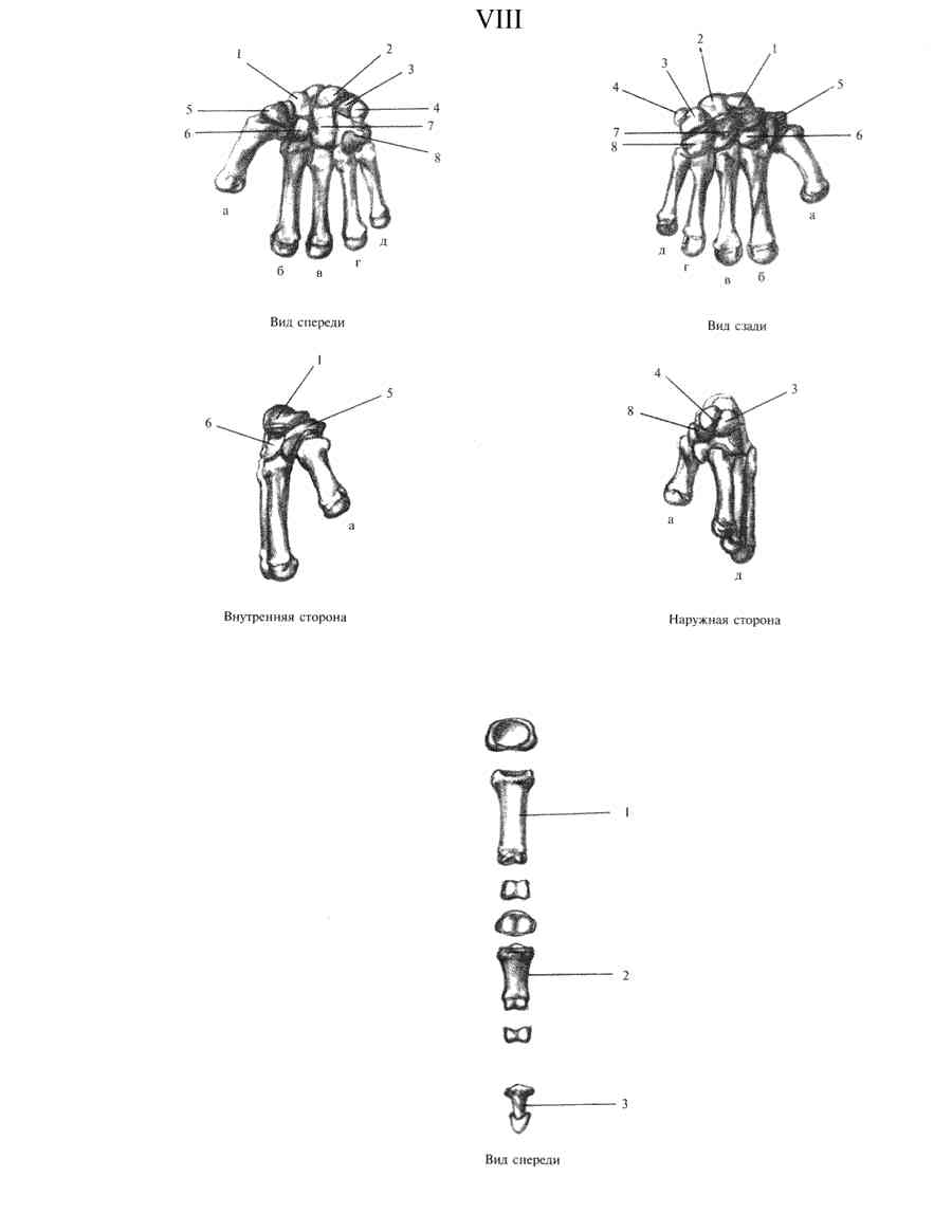    - ͨ  ></a>
<script language=JavaScript> 
  var txt = 
