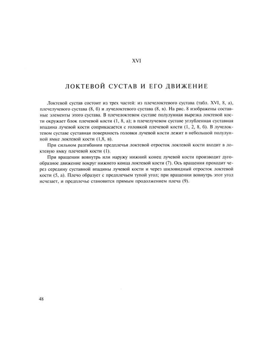    - ͨ  ></a>
<script language=JavaScript> 
  var txt = 