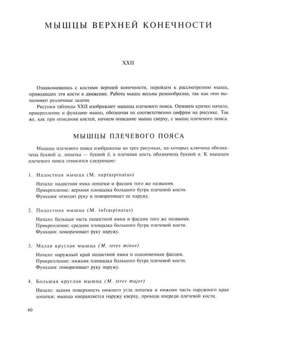    - ͨ  ></a>
<script language=JavaScript> 
  var txt = 