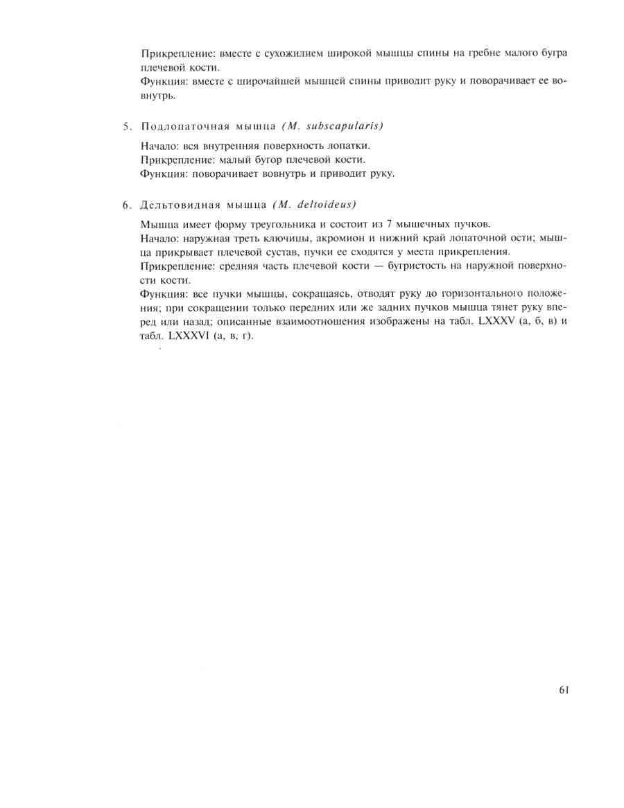    - ͨ  ></a>
<script language=JavaScript> 
  var txt = 