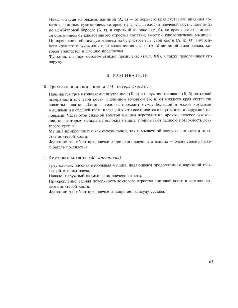    - ͨ  ></a>
<script language=JavaScript> 
  var txt = 