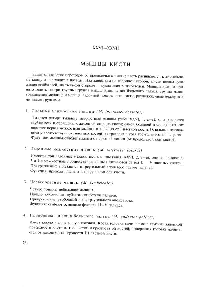    - ͨ  ></a>
<script language=JavaScript> 
  var txt = 
