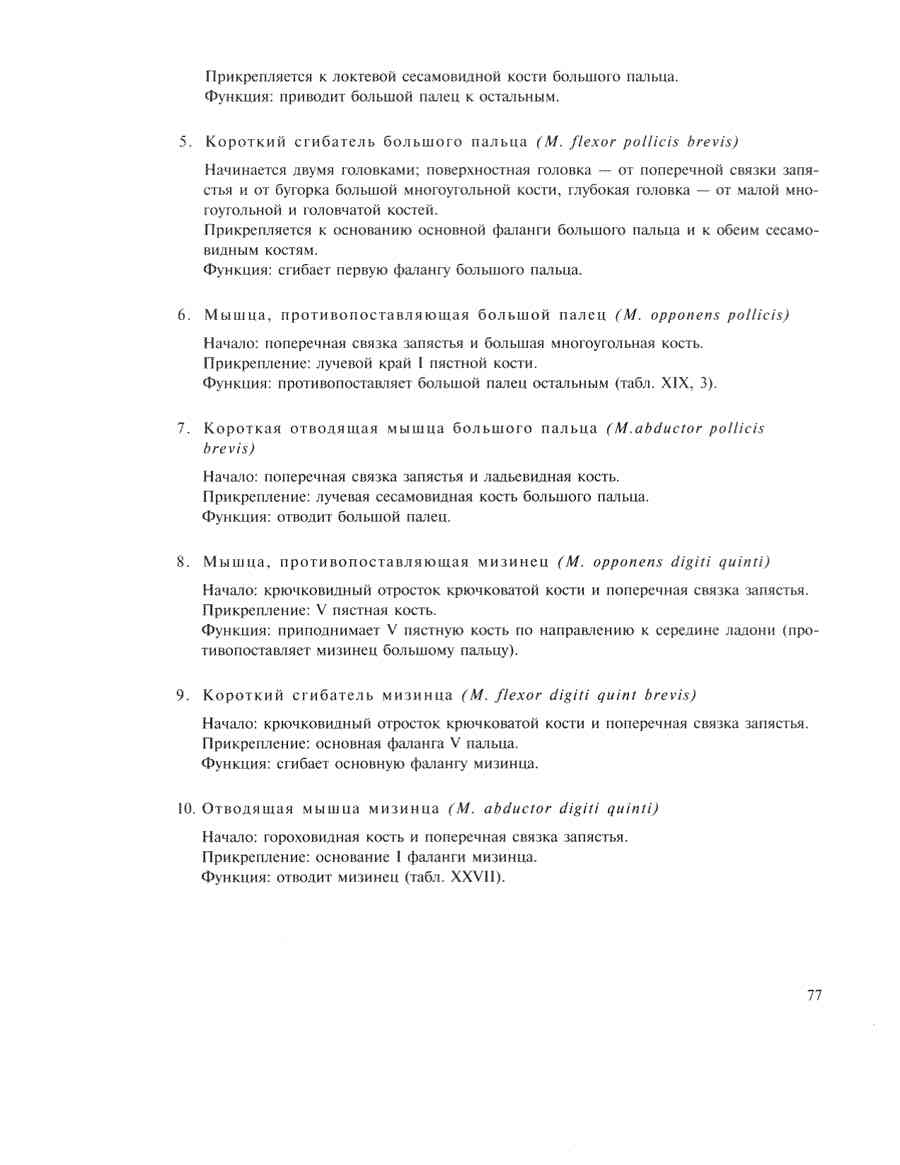    - ͨ  ></a>
<script language=JavaScript> 
  var txt = 