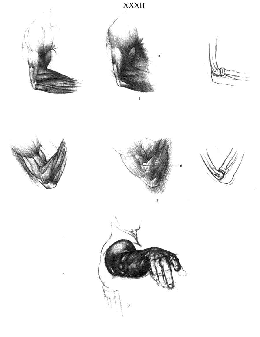    - ͨ  ></a>
<script language=JavaScript> 
  var txt = 