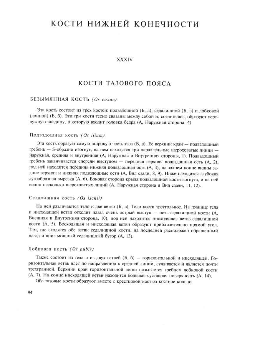    - ͨ  ></a>
<script language=JavaScript> 
  var txt = 