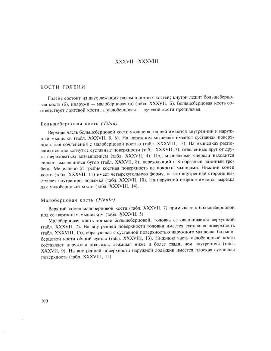    - ͨ  ></a>
<script language=JavaScript> 
  var txt = 