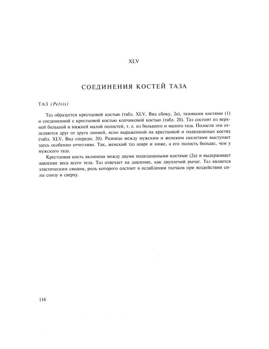    - ͨ  ></a>
<script language=JavaScript> 
  var txt = 