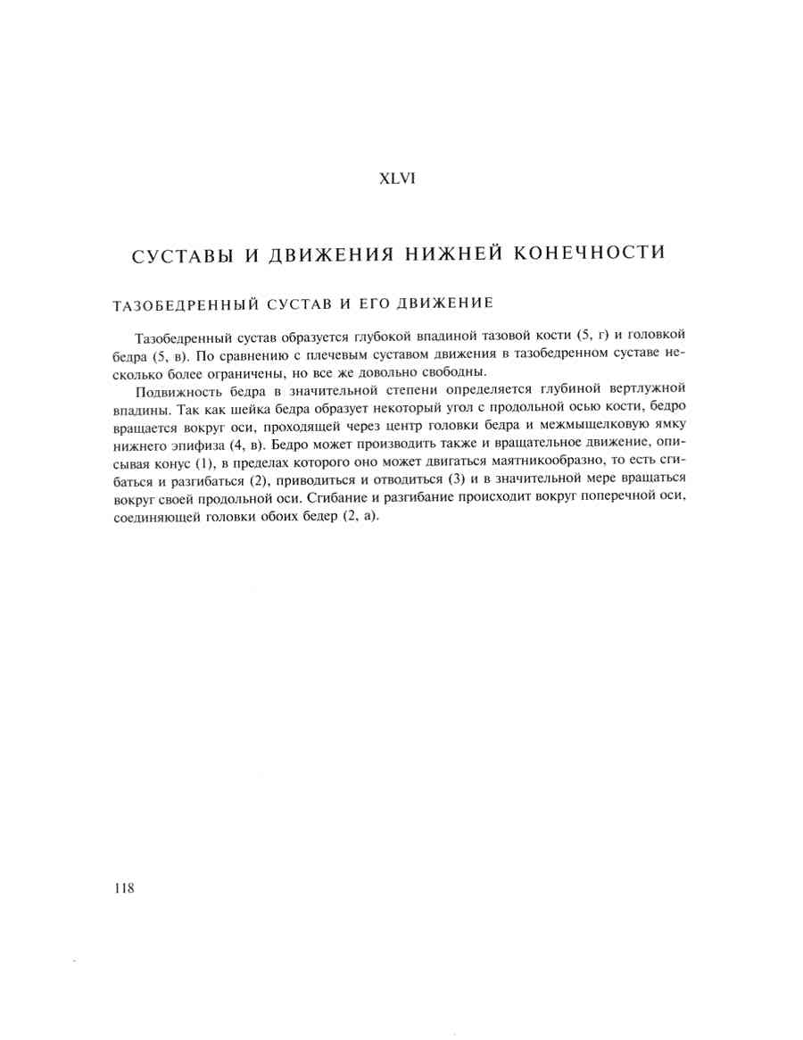    - ͨ  ></a>
<script language=JavaScript> 
  var txt = 