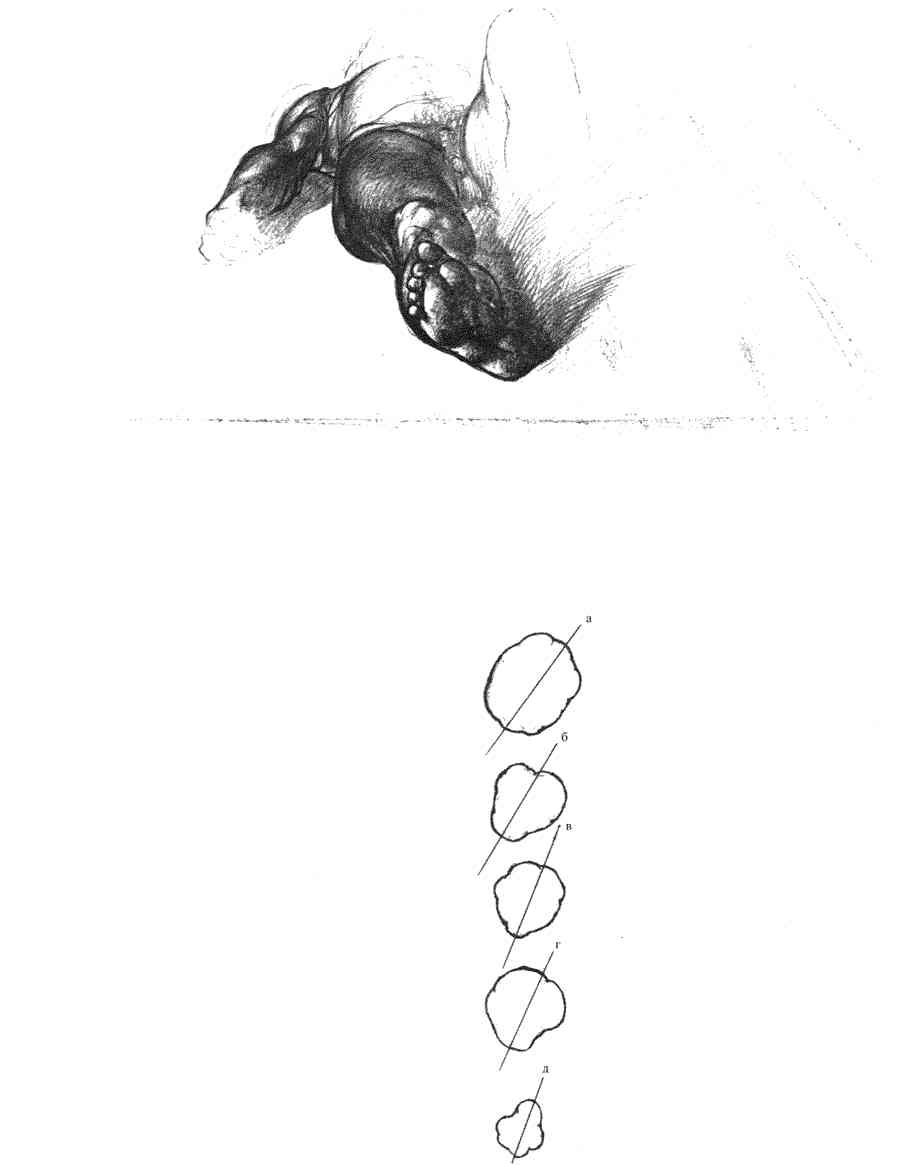    - ͨ  ></a>
<script language=JavaScript> 
  var txt = 