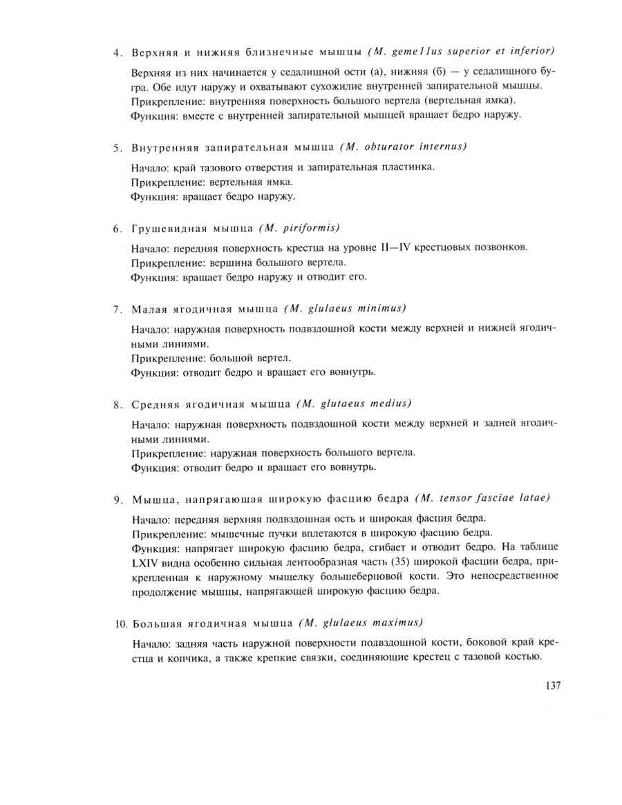   - ͨ  ></a>
<script language=JavaScript> 
  var txt = 