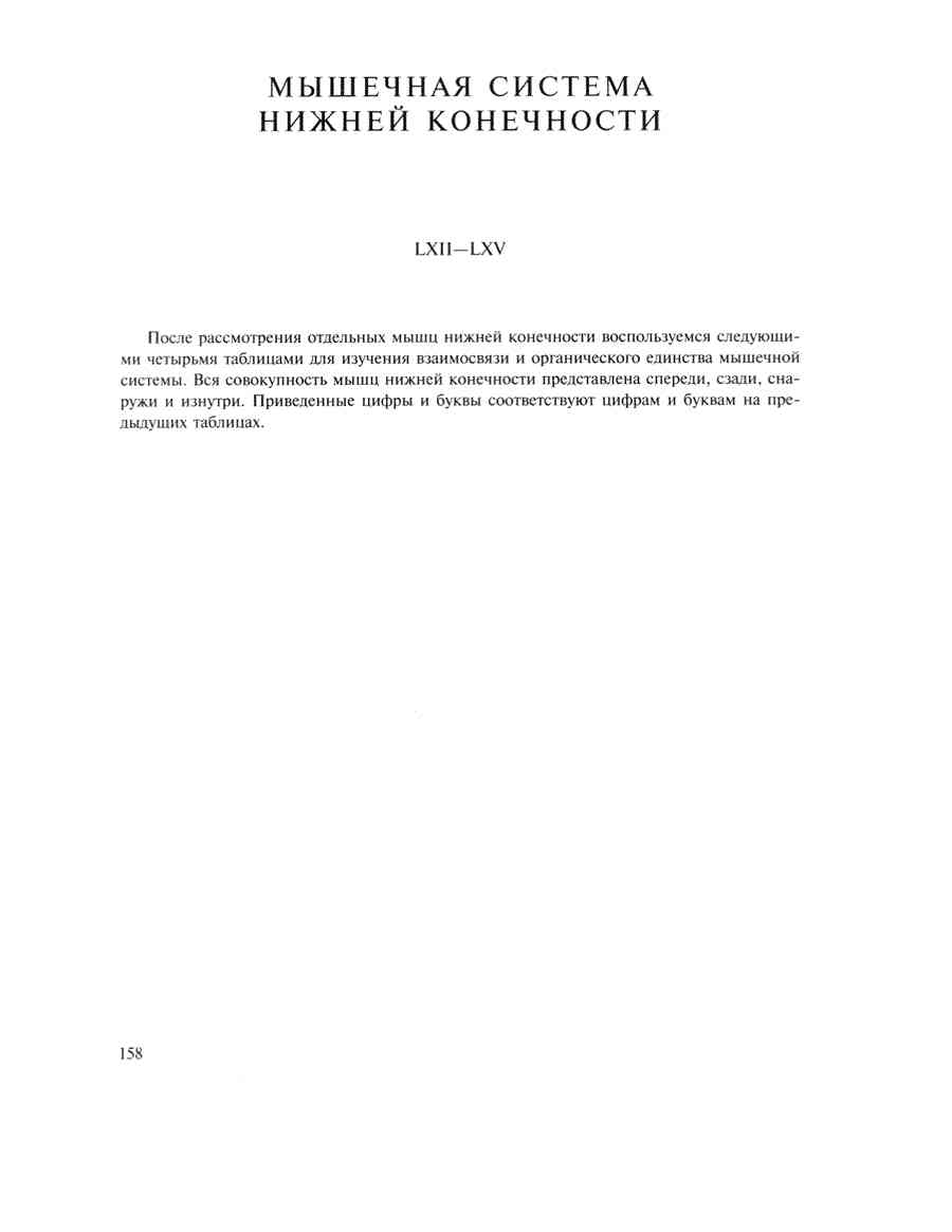   - ͨ  ></a>
<script language=JavaScript> 
  var txt = 