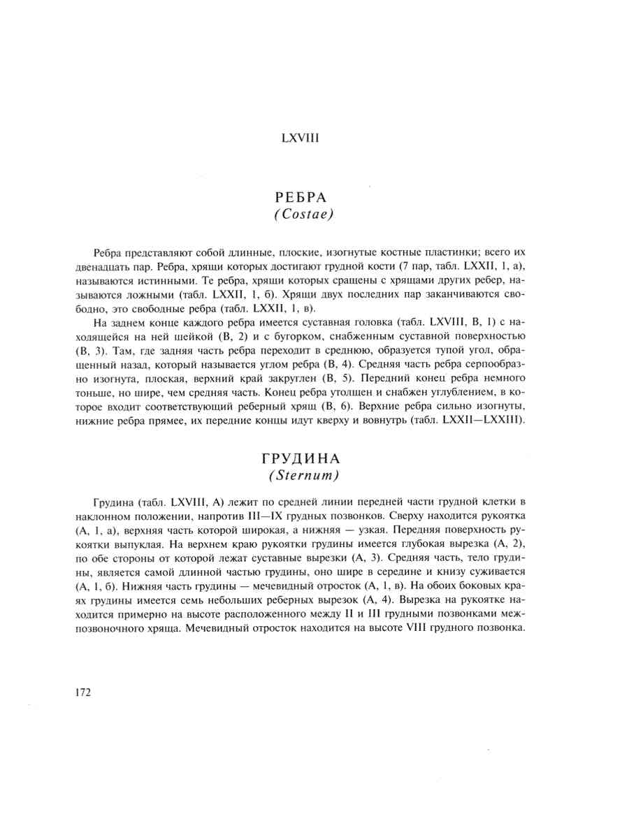    - ͨ  ></a>
<script language=JavaScript> 
  var txt = 