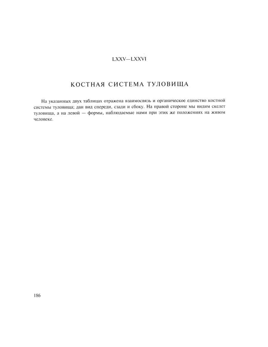 �������� ��� ���������� - �ͨ ������ ></a>
<script language=JavaScript> 
  var txt = 