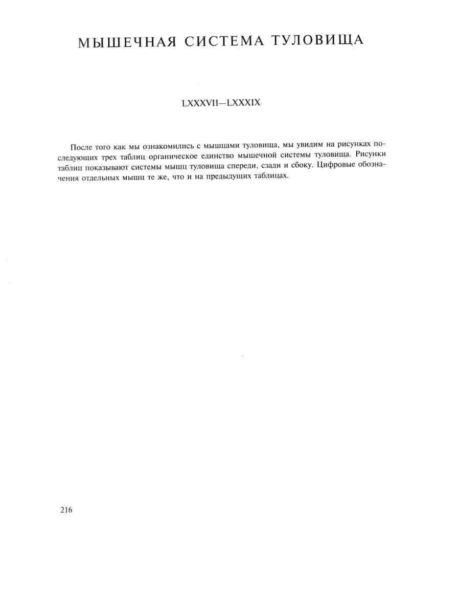    - ͨ  ></a>
<script language=JavaScript> 
  var txt = 