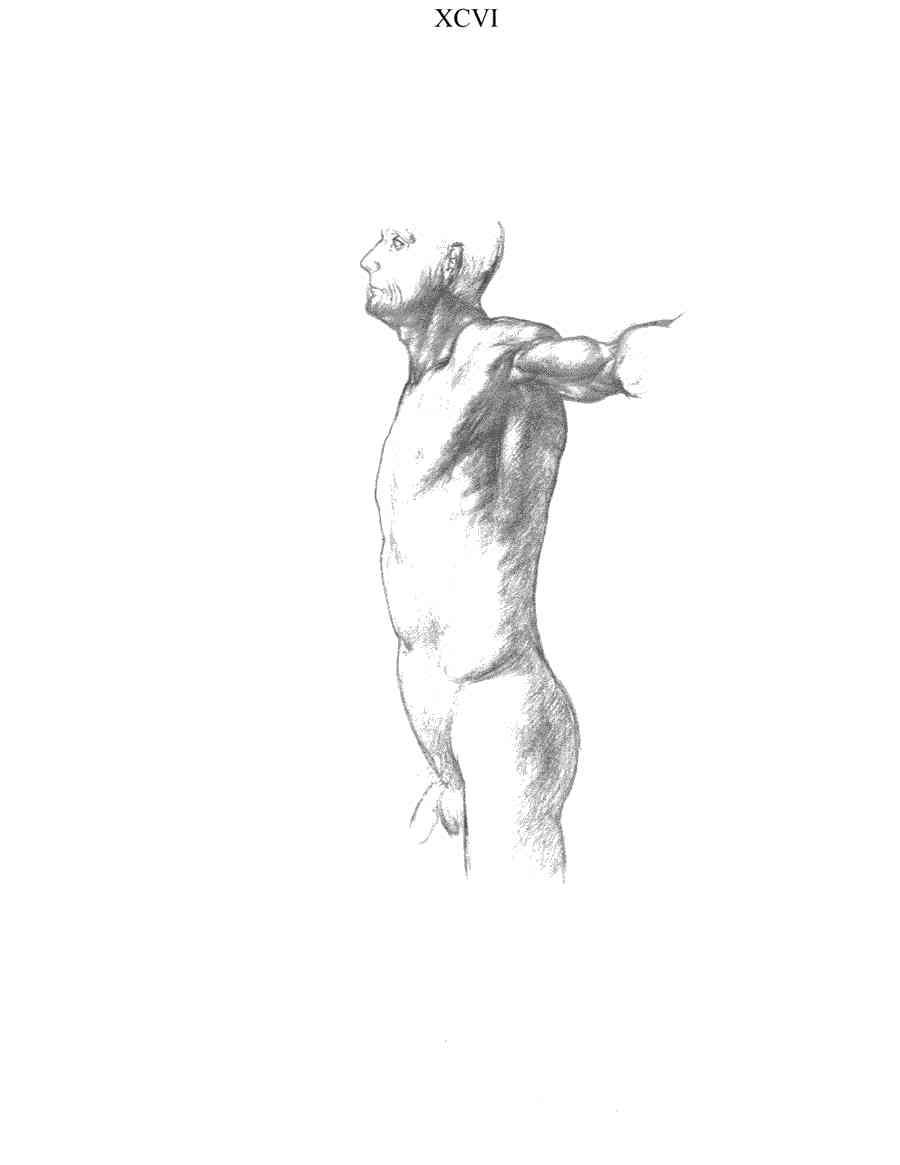    - ͨ  ></a>
<script language=JavaScript> 
  var txt = 