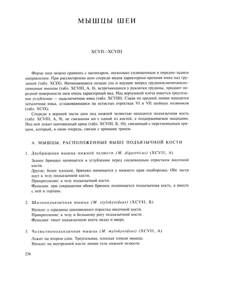   - ͨ  ></a>
<script language=JavaScript> 
  var txt = 