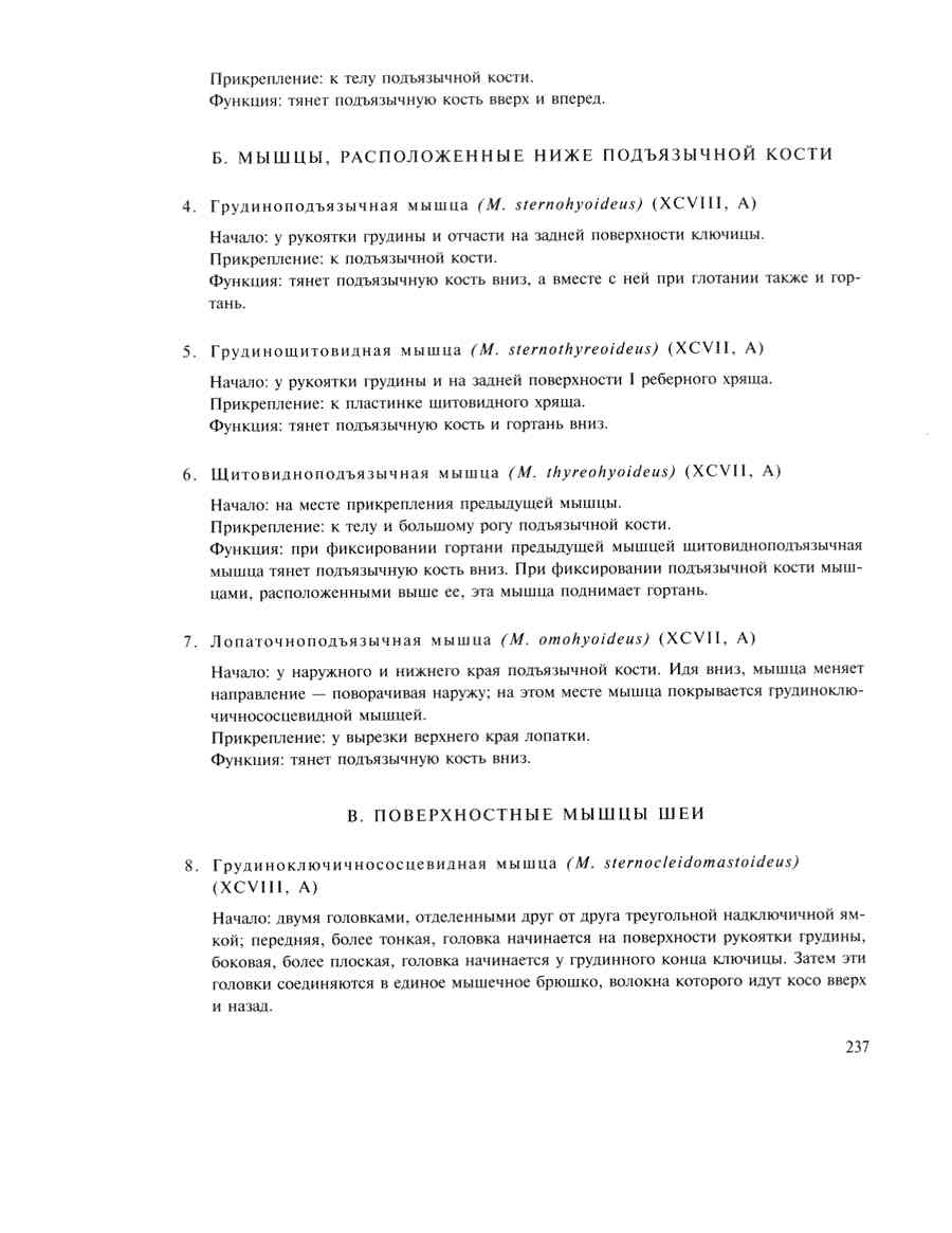    - ͨ  ></a>
<script language=JavaScript> 
  var txt = 