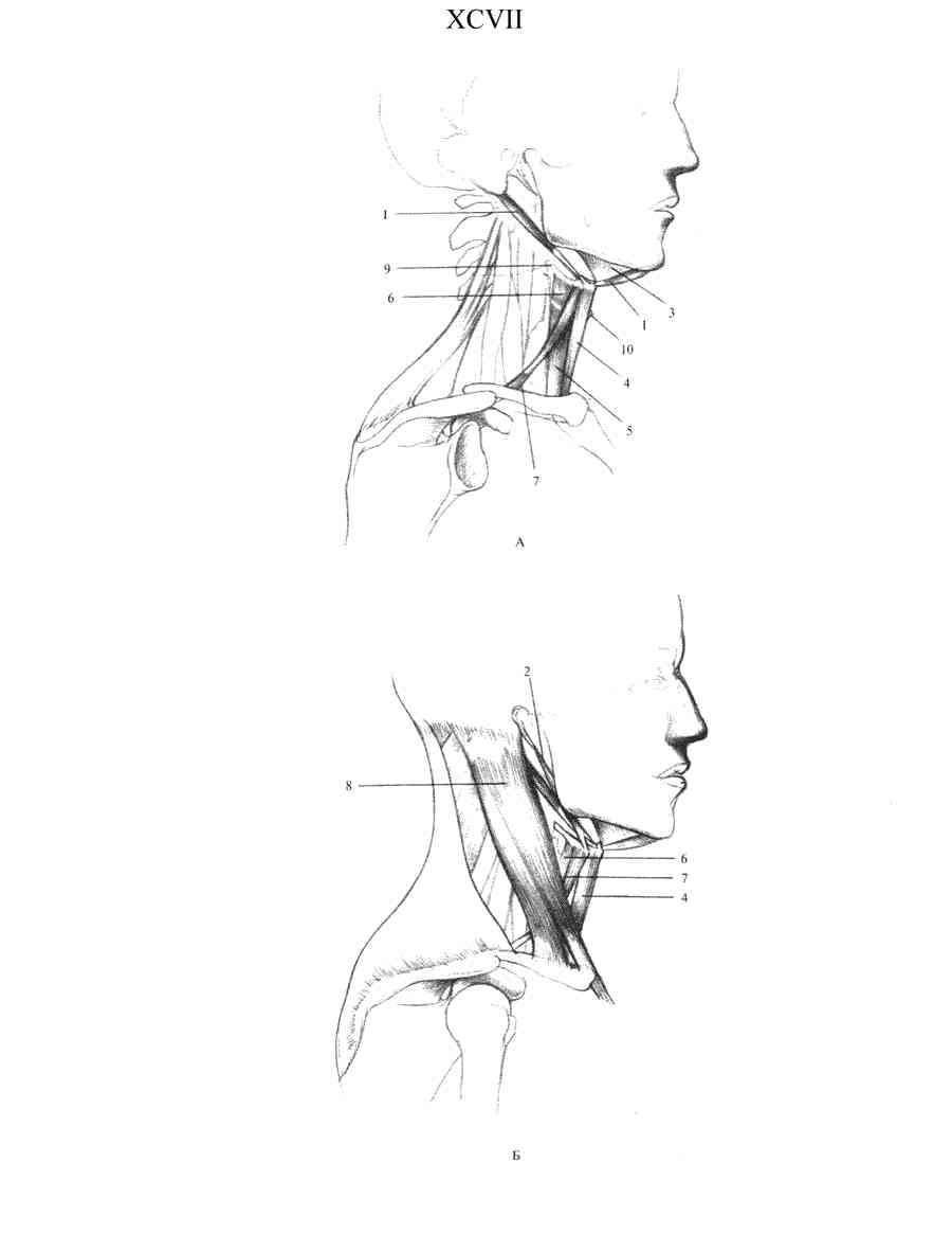    - ͨ  ></a>
<script language=JavaScript> 
  var txt = 