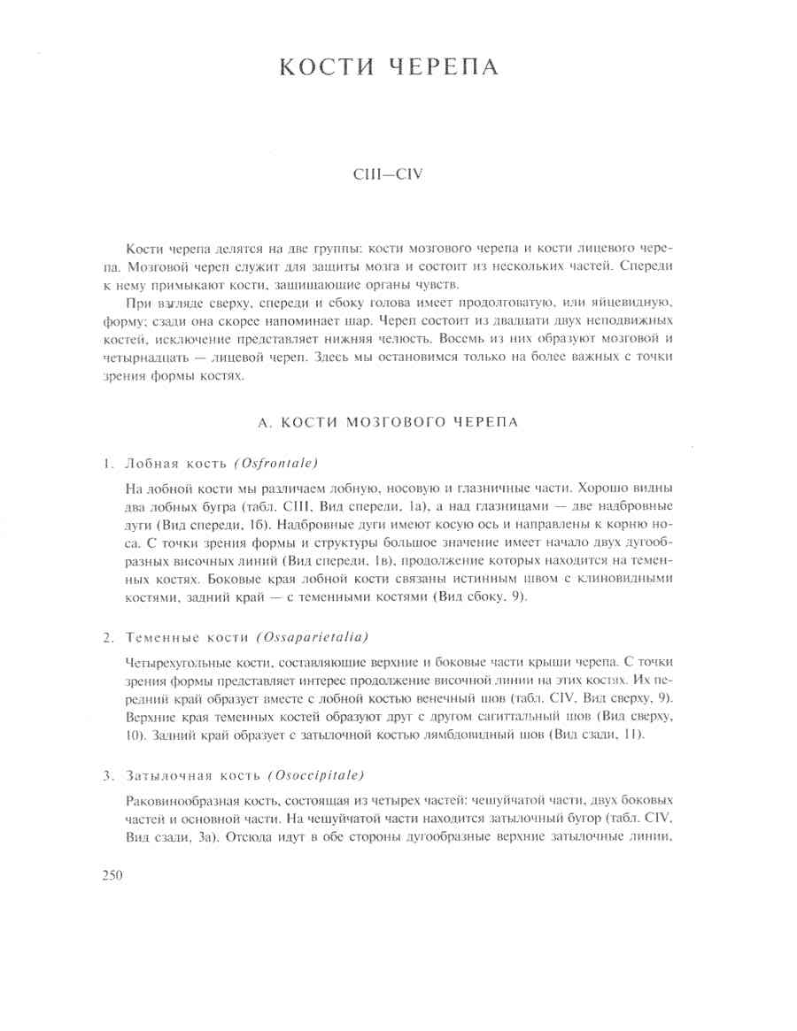    - ͨ  ></a>
<script language=JavaScript> 
  var txt = 