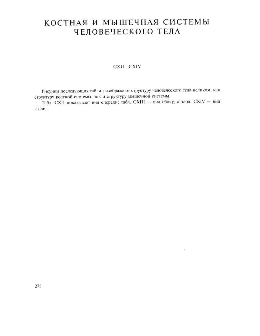 �������� ��� ���������� - �ͨ ������ ></a>
<script language=JavaScript> 
  var txt = 