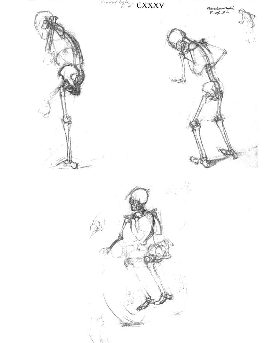    - ͨ  ></a>
<script language=JavaScript> 
  var txt = 