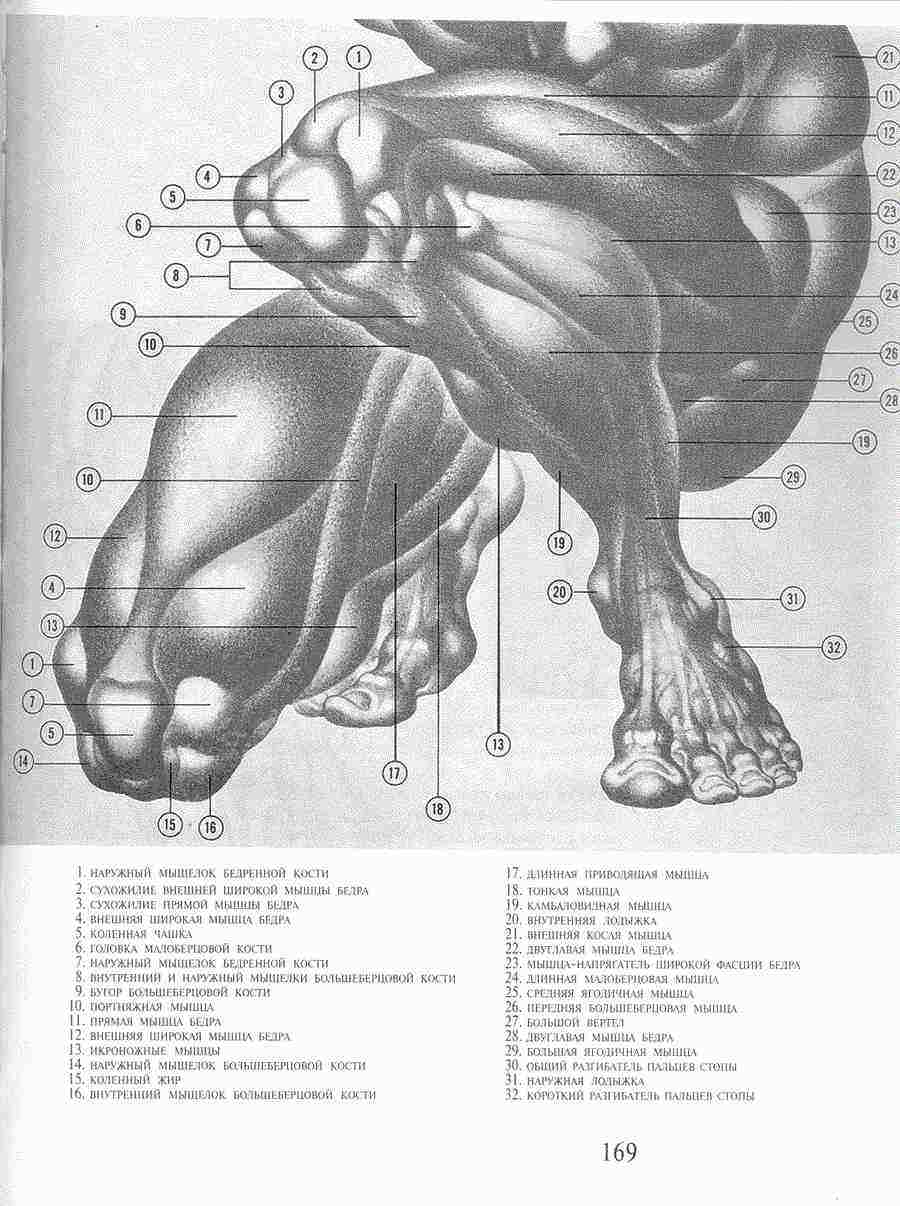     -   ></a>
<script language=JavaScript> 
  var txt = 