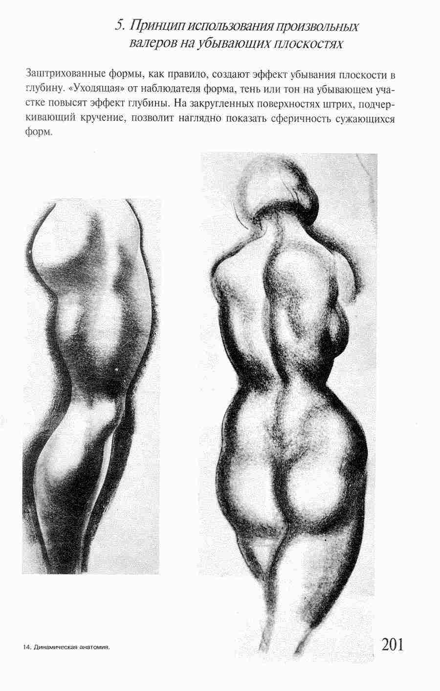     -   ></a>
<script language=JavaScript> 
  var txt = 