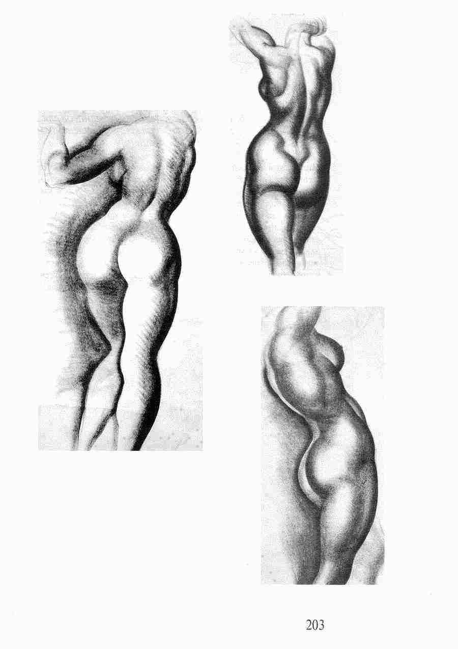     -   ></a>
<script language=JavaScript> 
  var txt = 