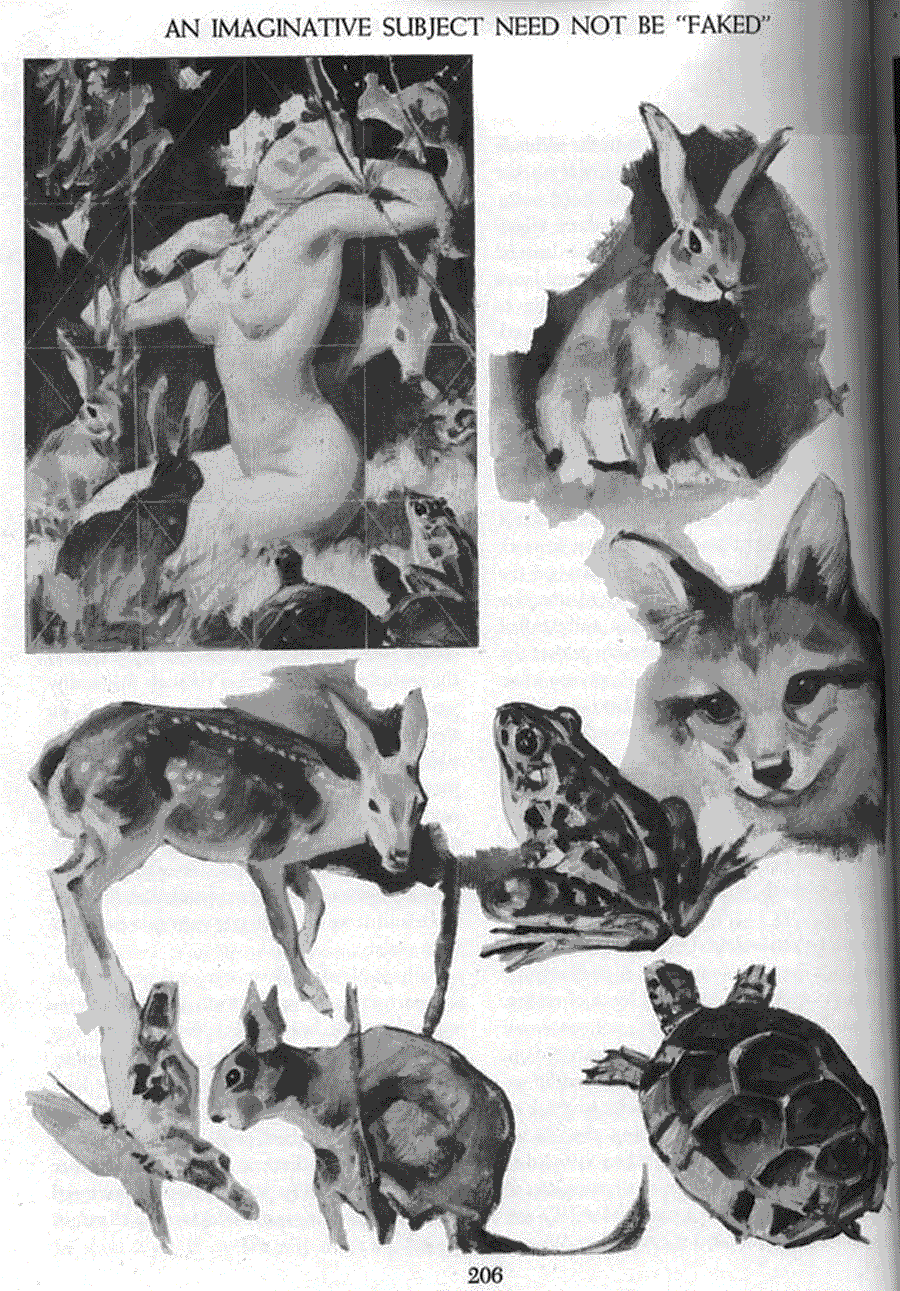 Creative illustration - Andrew Loomis ></a>
<script language=JavaScript> 
  var txt = 