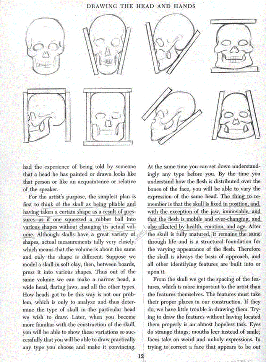 Drawing the head and hands - Andrew Loomis ></a>
<script language=JavaScript> 
  var txt = 