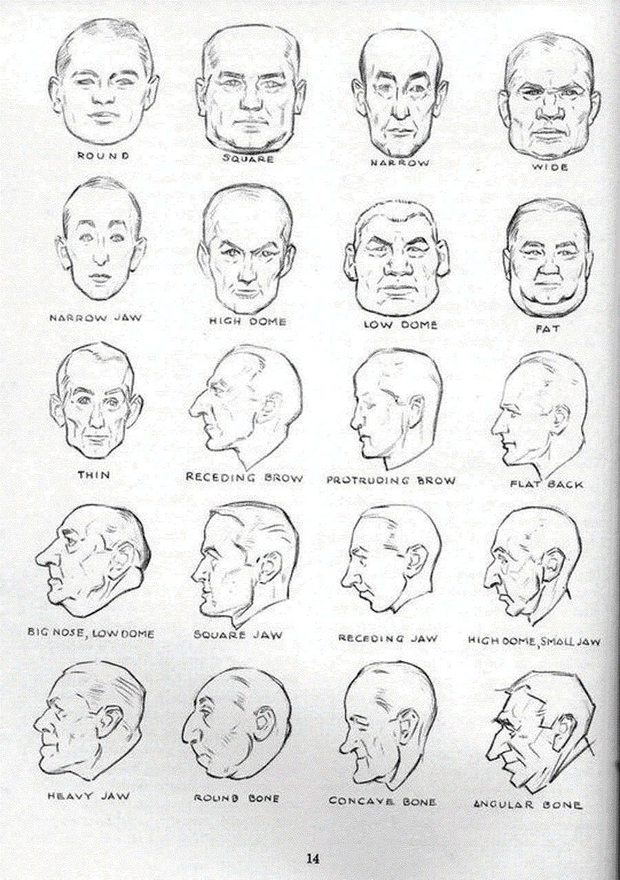 Drawing the head and hands - Andrew Loomis ></a>
<script language=JavaScript> 
  var txt = 