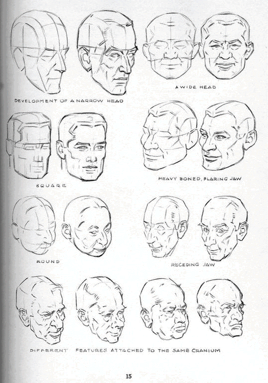 Drawing the head and hands - Andrew Loomis ></a>
<script language=JavaScript> 
  var txt = 
