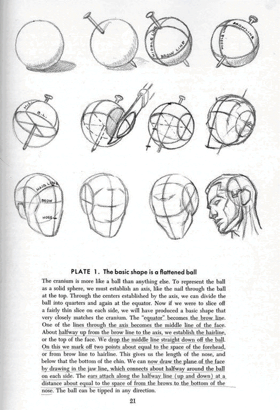 Drawing the head and hands - Andrew Loomis ></a>
<script language=JavaScript> 
  var txt = 