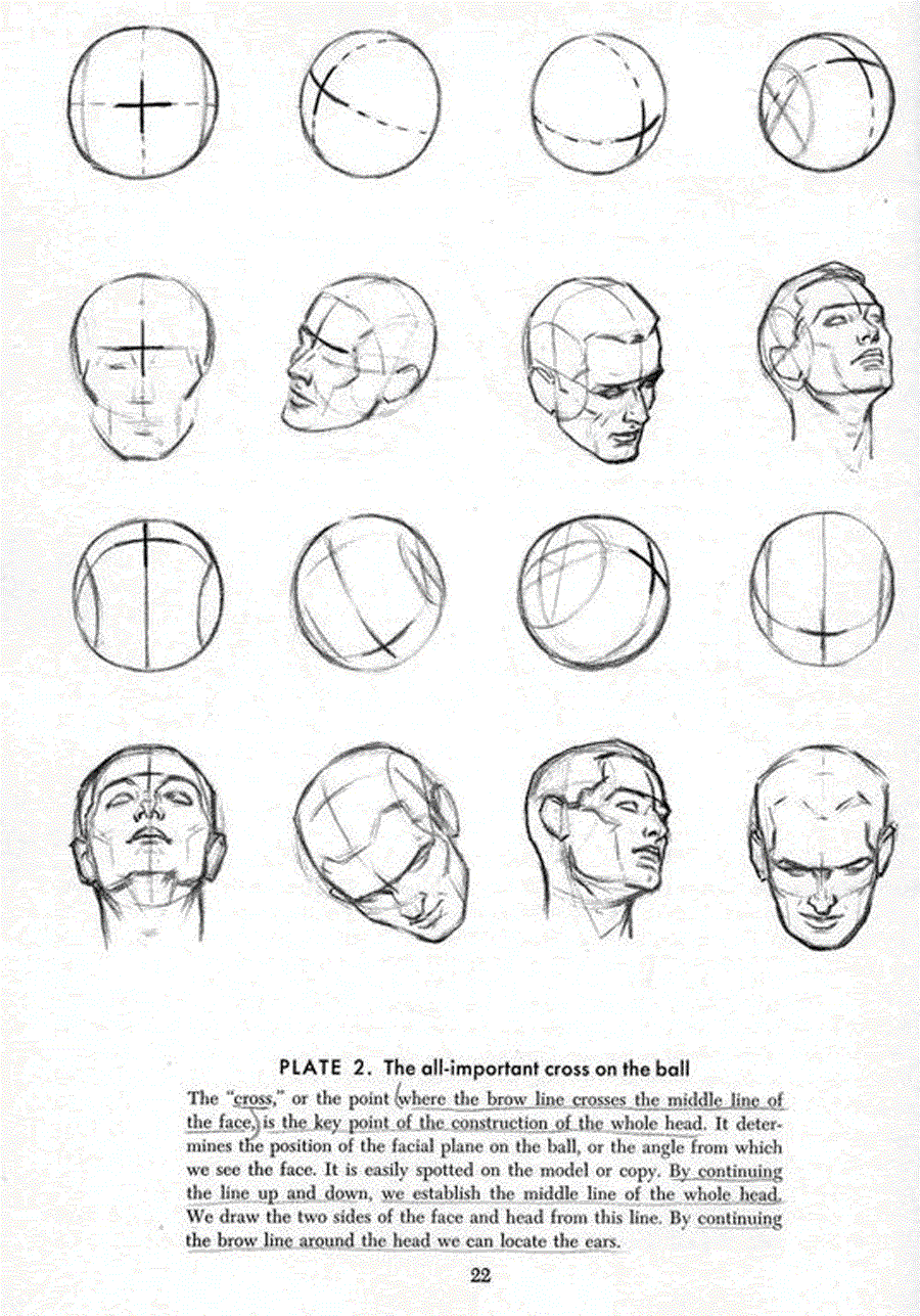 Drawing the head and hands - Andrew Loomis ></a>
<script language=JavaScript> 
  var txt = 