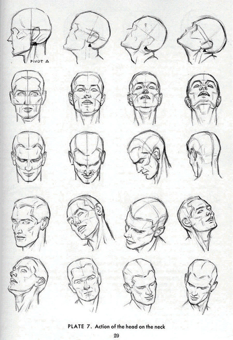 Drawing the head and hands - Andrew Loomis ></a>
<script language=JavaScript> 
  var txt = 