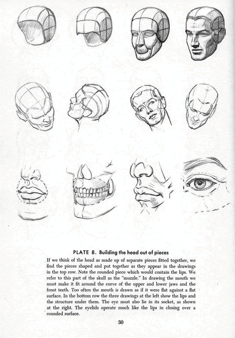 Drawing the head and hands - Andrew Loomis ></a>
<script language=JavaScript> 
  var txt = 