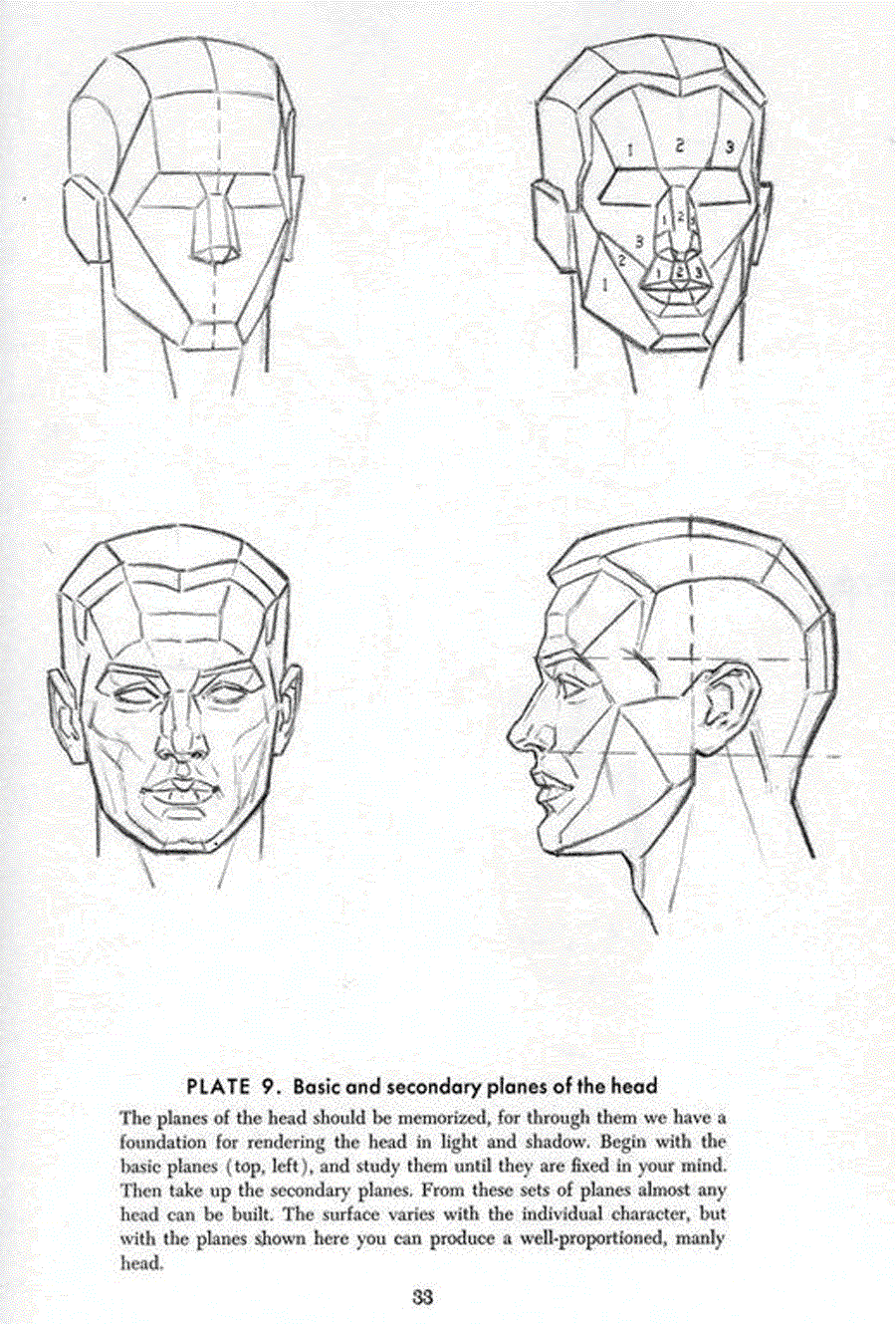 Drawing the head and hands - Andrew Loomis ></a>
<script language=JavaScript> 
  var txt = 